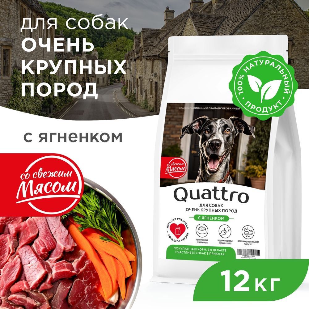Сухой корм для собак QUATTRO, большие породы, сбалансированный, с ягненком, 12 кг
Сухой корм для собак QUATTRO, большие породы, сбалансированный, с ягненком, 12 кг