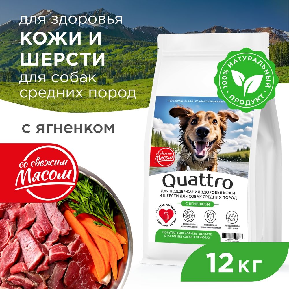 Сухой корм для собак QUATTRO, средние породы, здоровье кожи и шерсти, с ягненком, 12 кг
Сухой корм для собак QUATTRO, средние породы, здоровье кожи и шерсти, с ягненком, 12 кг