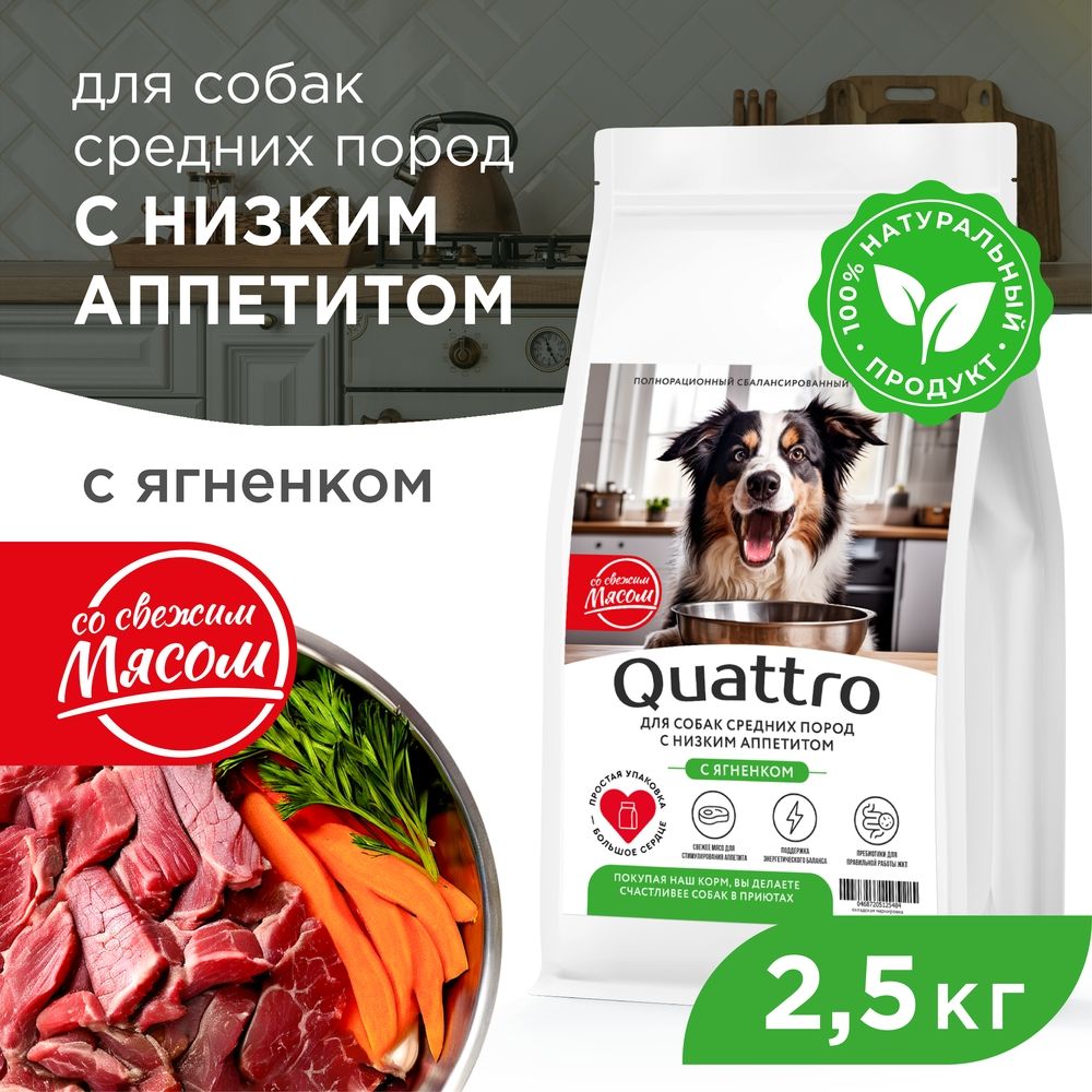 Сухой корм для собак QUATTRO, средние породы, при слабом аппетите, с ягненком, 2,5 кг
Сухой корм для собак QUATTRO, средние породы, при слабом аппетите, с ягненком, 2,5 кг