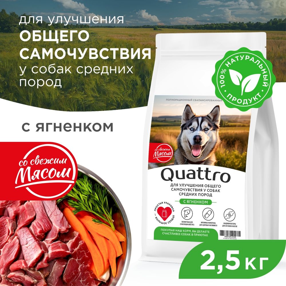 Сухой корм для собак QUATTRO, средние породы, улучшение самочувствия, с ягненком, 2,5 кг
Сухой корм для собак QUATTRO, средние породы, улучшение самочувствия, с ягненком, 2,5 кг