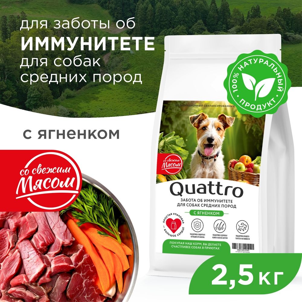 Сухой корм для собак QUATTRO, средние породы, забота об иммунитете, с ягненком, 2,5 кг
Сухой корм для собак QUATTRO, средние породы, забота об иммунитете, с ягненком, 2,5 кг