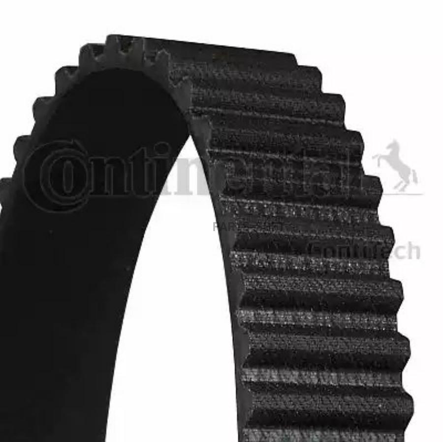 CONTITECH Ремень ГРМ TOYOTA LAND CRUISER 100 (J10) 4.7 98- LEXUS LS400 98- (211x34) CONTIT
CONTITECH Ремень ГРМ TOYOTA LAND CRUISER 100 (J10) 4.7 98- LEXUS LS400 98- (211x34) CONTIT