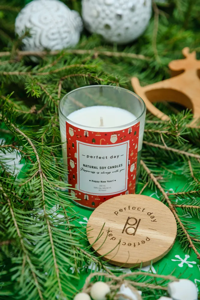 Свеча ароматическая PERFECT DAY CANDLES, Happy New Year! Счастливого Нового года 2024
Свеча ароматическая PERFECT DAY CANDLES, Happy New Year! Счастливого Нового года 2024