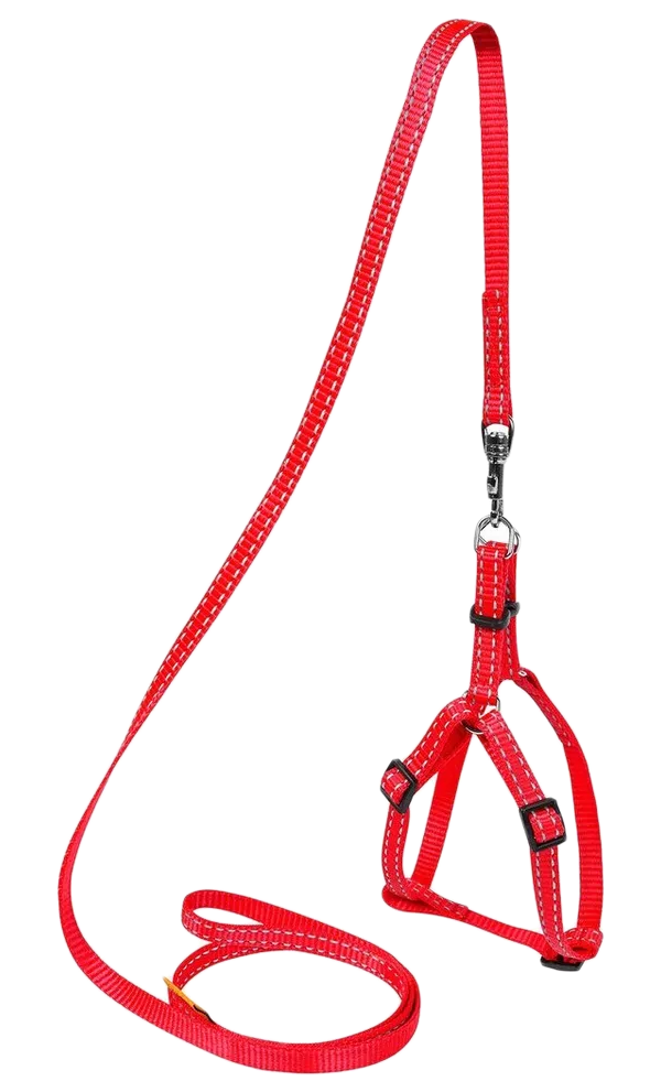 Шлейка с поводком для собак Collar Dog Extremе нейлоновая регулируемая красная 28-40 см, Красный
Шлейка с поводком для собак Collar Dog Extremе нейлоновая регулируемая красная 28-40 см, Красный