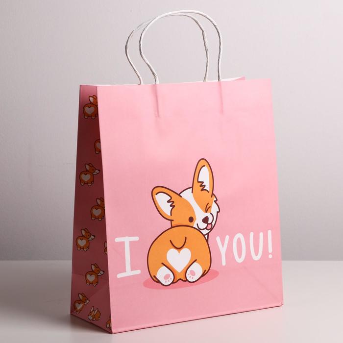 Пакет крафтовый I love you, 26 х 30 х 11,5 см, Розовый, Коллекция упаковки "Персонажи"
Пакет крафтовый I love you, 26 х 30 х 11,5 см, Розовый, Коллекция упаковки "Персонажи"