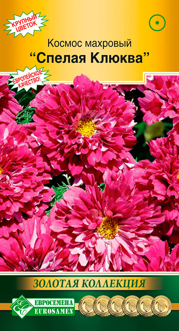 Семена космея Евросемена Спелая клюква 17699 1 уп., Спелая Клюква
Семена космея Евросемена Спелая клюква 17699 1 уп., Спелая Клюква