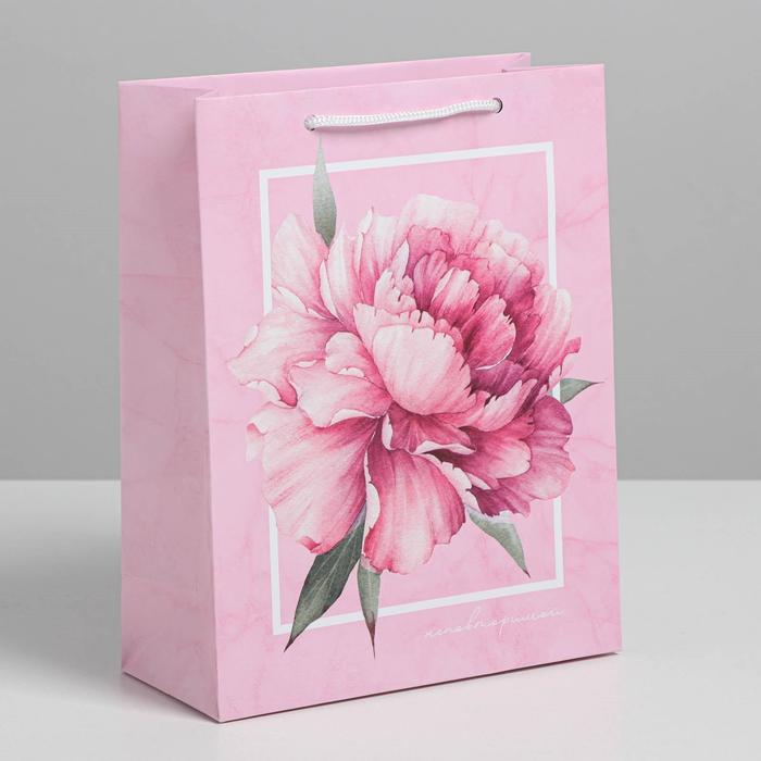 Пакет ламинированный вертикальный «Пион», MS 18 х 23 х 8 см, Розовый, Коллекция упаковки "Нежные цветы"
Пакет ламинированный вертикальный «Пион», MS 18 х 23 х 8 см, Розовый, Коллекция упаковки "Нежные цветы"