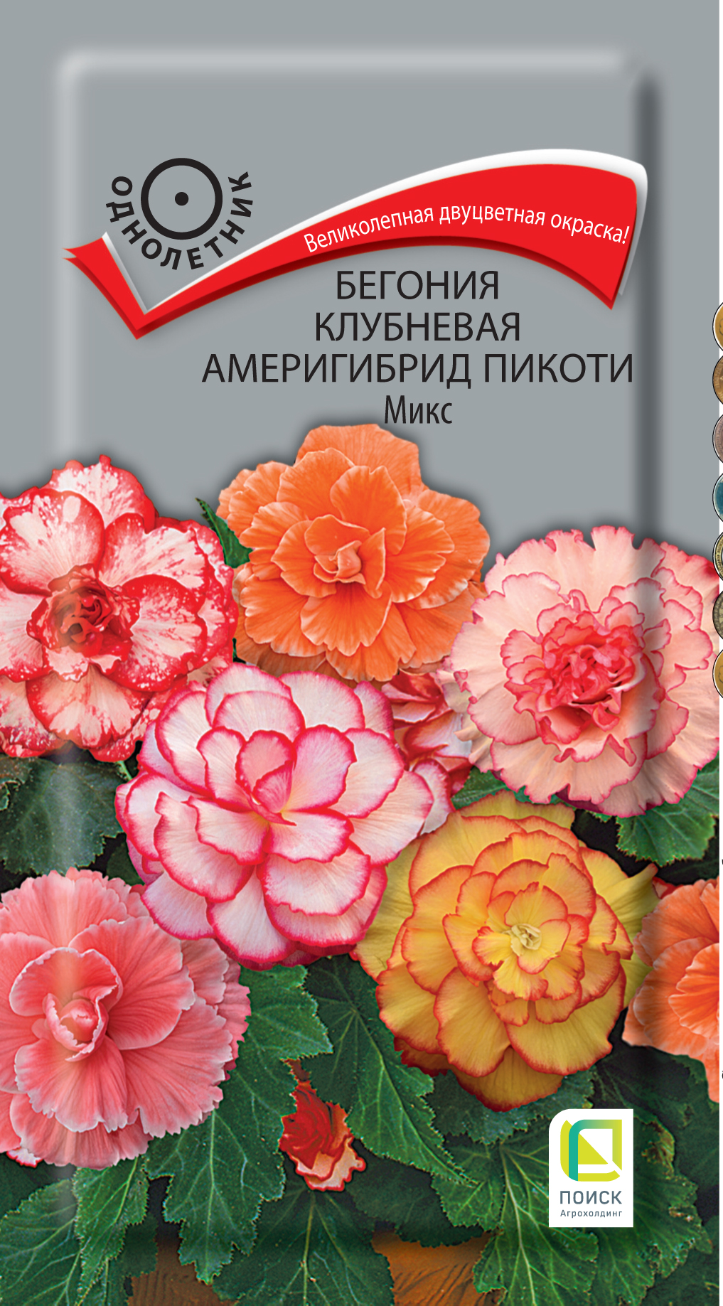 Семена бегония Поиск Америгибрид пикоти 21683 1 уп., Бегония клубневая Америгибрид Пикоти
Семена бегония Поиск Америгибрид пикоти 21683 1 уп., Бегония клубневая Америгибрид Пикоти