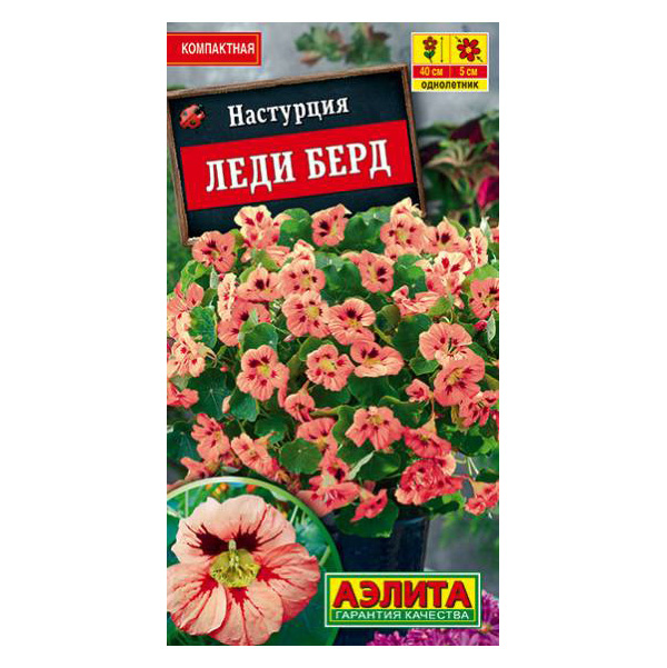 Семена настурция Аэлита Леди берд 22813 1 уп., Настурция Леди берд
Семена настурция Аэлита Леди берд 22813 1 уп., Настурция Леди берд
