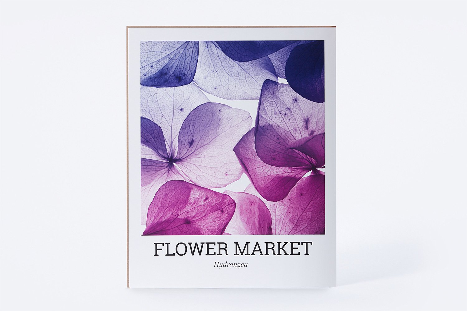 Постер на подложке МИРАМ Абстракция, Абстракция
Постер на подложке МИРАМ Абстракция, Абстракция