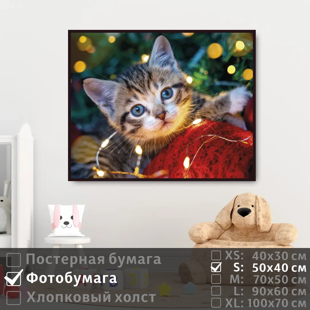 Постер на фотобумаге ПолиЦентр Милый смешной котик на стену 50х40 см, МилыйСмешнойКотикНаСтену
Постер на фотобумаге ПолиЦентр Милый смешной котик на стену 50х40 см, МилыйСмешнойКотикНаСтену