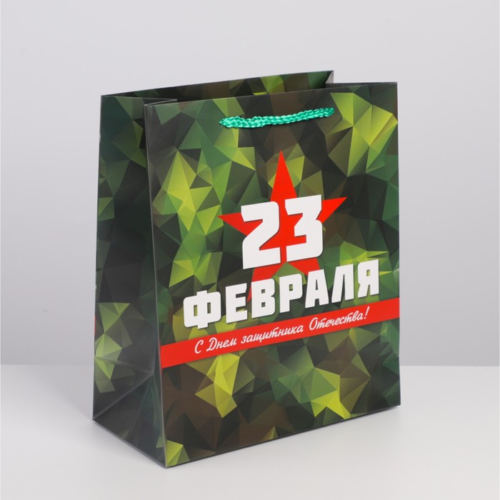 Пакет Дарите Счастье ламинированный горизонтальный «Защитник» ML 23 х 27 х 11,5 см, Зеленый, Подарочная упаковка 23 февраля
Пакет Дарите Счастье ламинированный горизонтальный «Защитник» ML 23 х 27 х 11,5 см, Зеленый, Подарочная упаковка 23 февраля