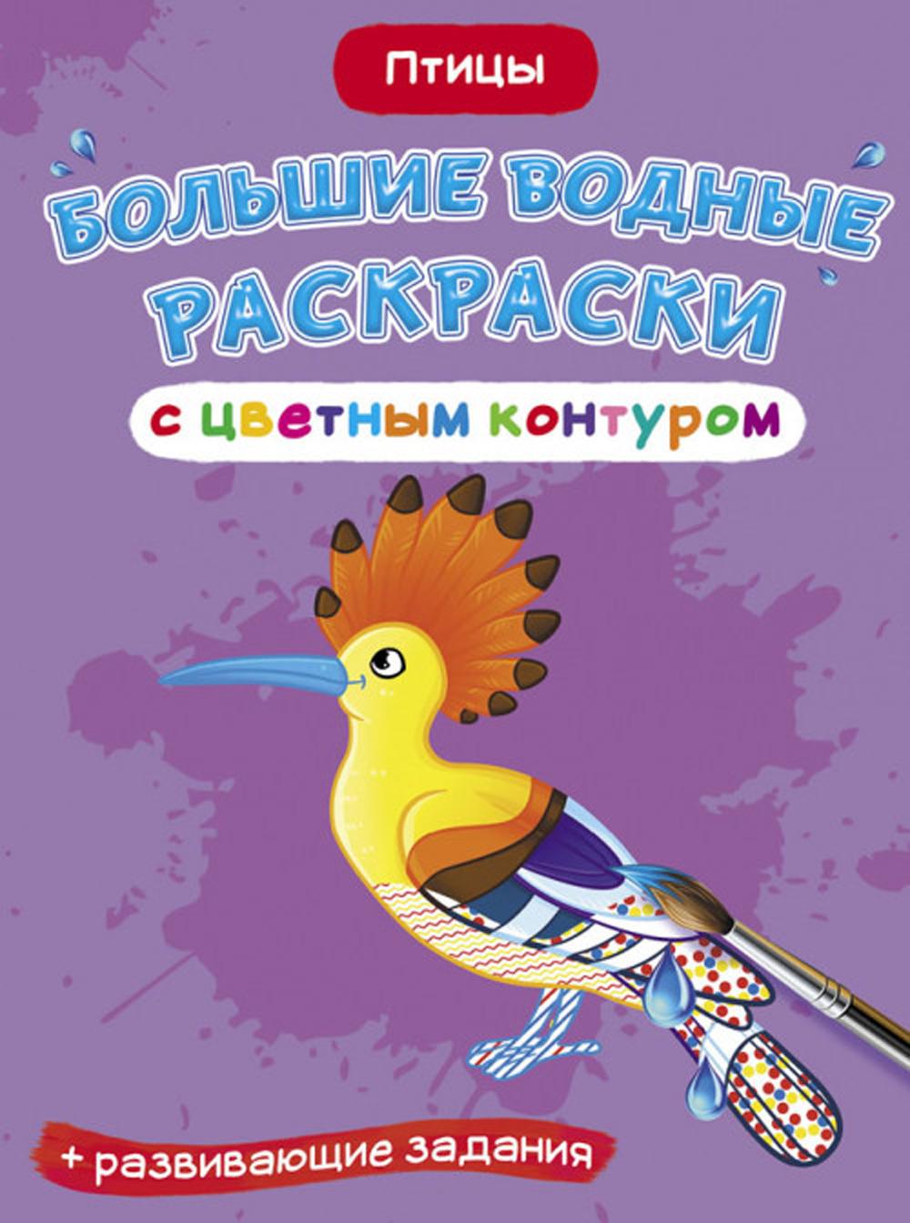 Книга Большие водные раскраски с цветным контуром. Птицы
Книга Большие водные раскраски с цветным контуром. Птицы
