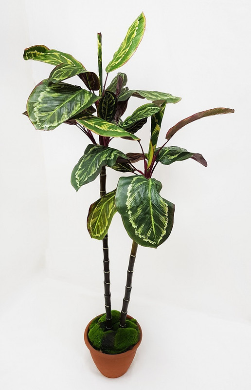 Искусственное растение Калатея
Искусственное растение Калатея