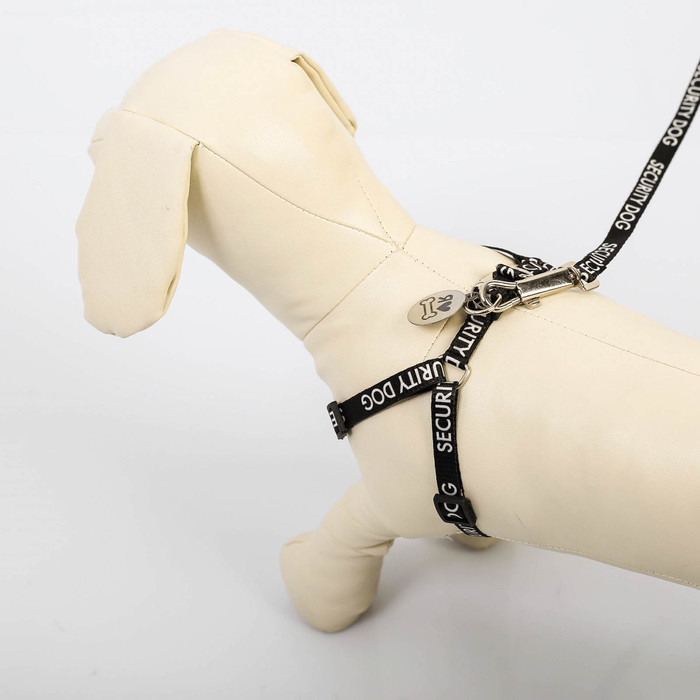 Шлейка для собак Пушистое счастье Косточка, шлейка 28-47 см, поводок 120 см, адресник, Косточка, шлейка 28-47 см, поводок 120 см, адресник 
Шлейка для собак Пушистое счастье Косточка, шлейка 28-47 см, поводок 120 см, адресник, Косточка, шлейка 28-47 см, поводок 120 см, адресник