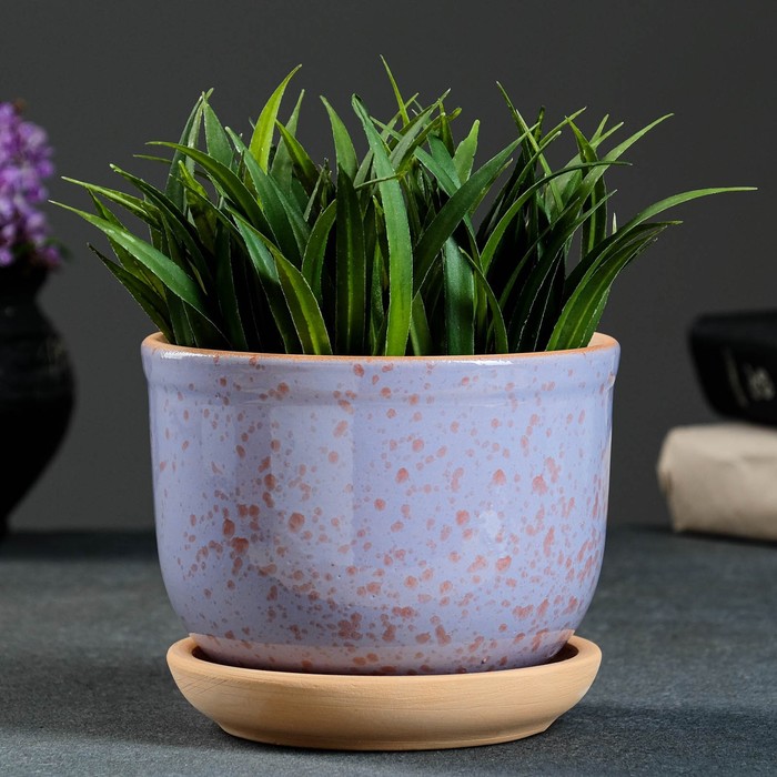 Цветочный горшок Ломоносовский 7603584 0,7 л сиреневый 1 шт., Разноцветный, Ломоносовский
Цветочный горшок Ломоносовский 7603584 0,7 л сиреневый 1 шт., Разноцветный, Ломоносовский