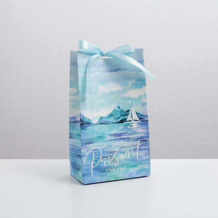 Пакет подарочный с лентой «Present for you», 13 х 23 х 7 см, Голубой, Коллекция упаковки "Морская"
Пакет подарочный с лентой «Present for you», 13 х 23 х 7 см, Голубой, Коллекция упаковки "Морская"
