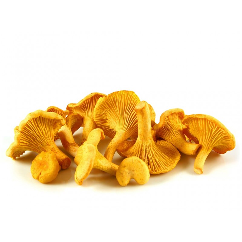 Грибы лисички 300 г 
Грибы лисички 300 г