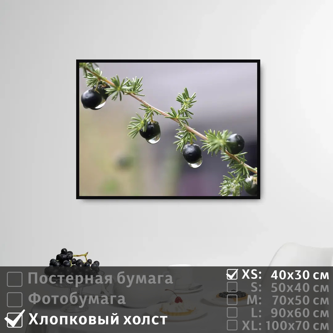 Постер на холсте ПолиЦентр Ветка с ягодой после дождя 40х30 см, ВеткаСЯгодойПослеДождя
Постер на холсте ПолиЦентр Ветка с ягодой после дождя 40х30 см, ВеткаСЯгодойПослеДождя