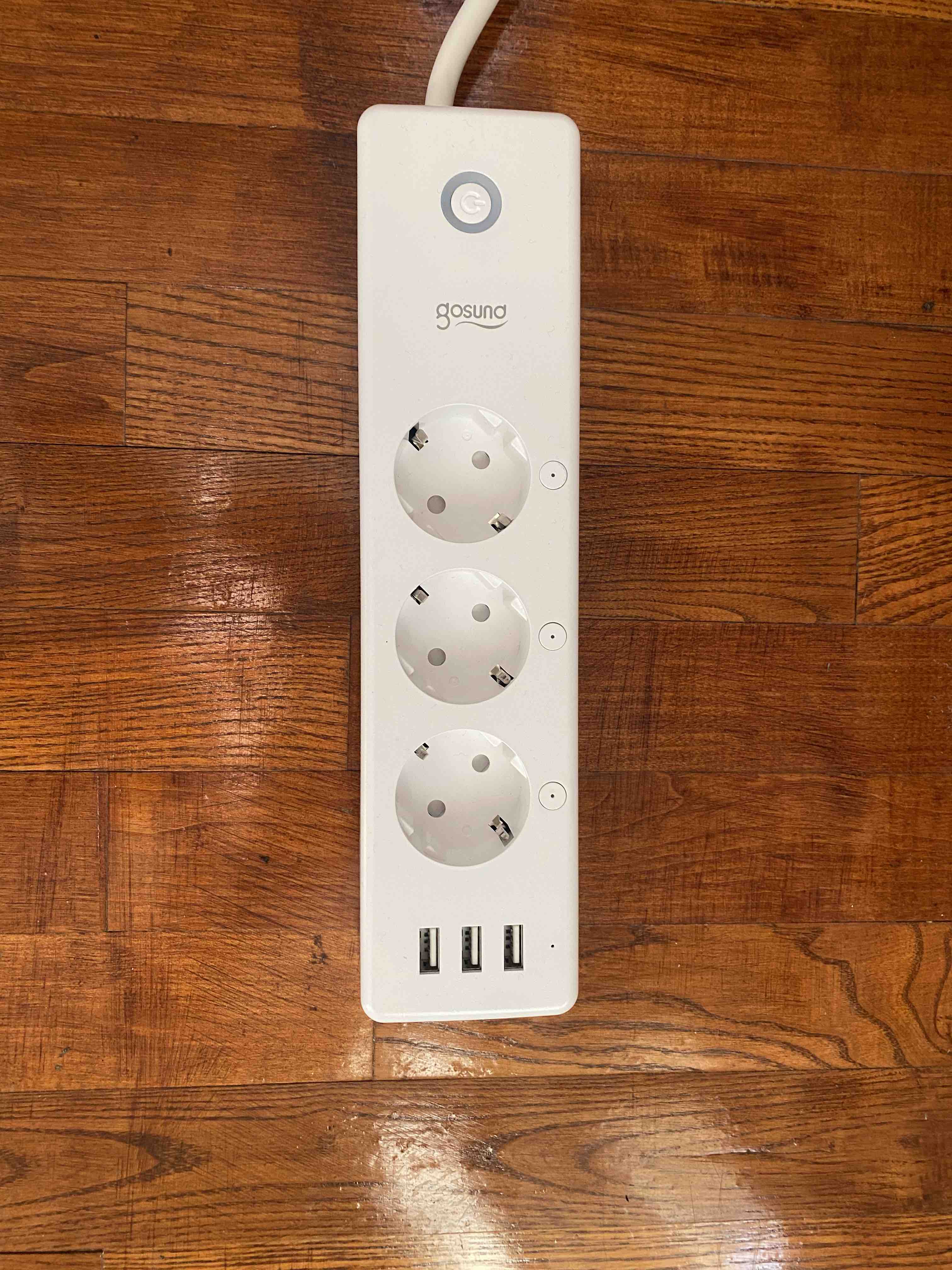 Gosund Smart Plug P