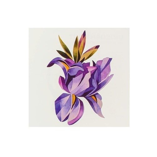 Browse iris tattoos