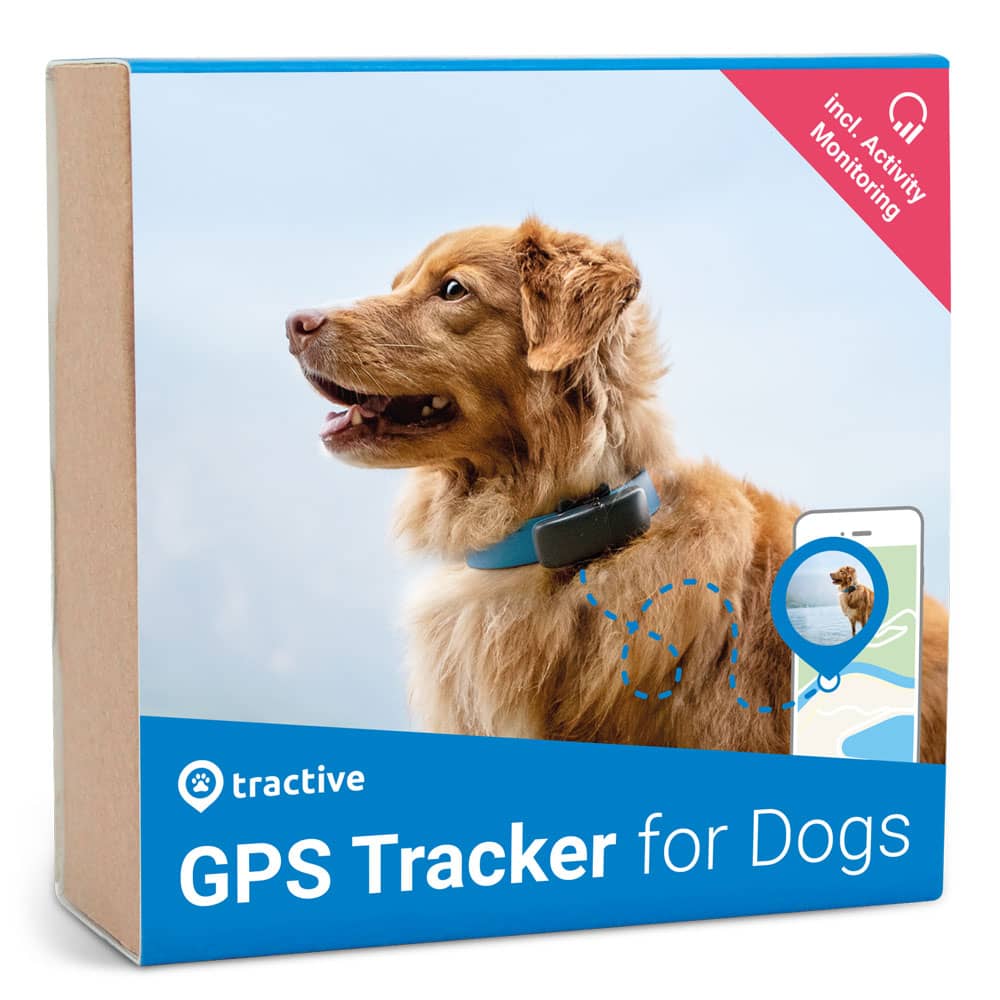 GPS-трекер для собак Tractive GPS DOG - отзывы покупателей на маркетплейсе  Мегамаркет | Артикул товара:600001210516