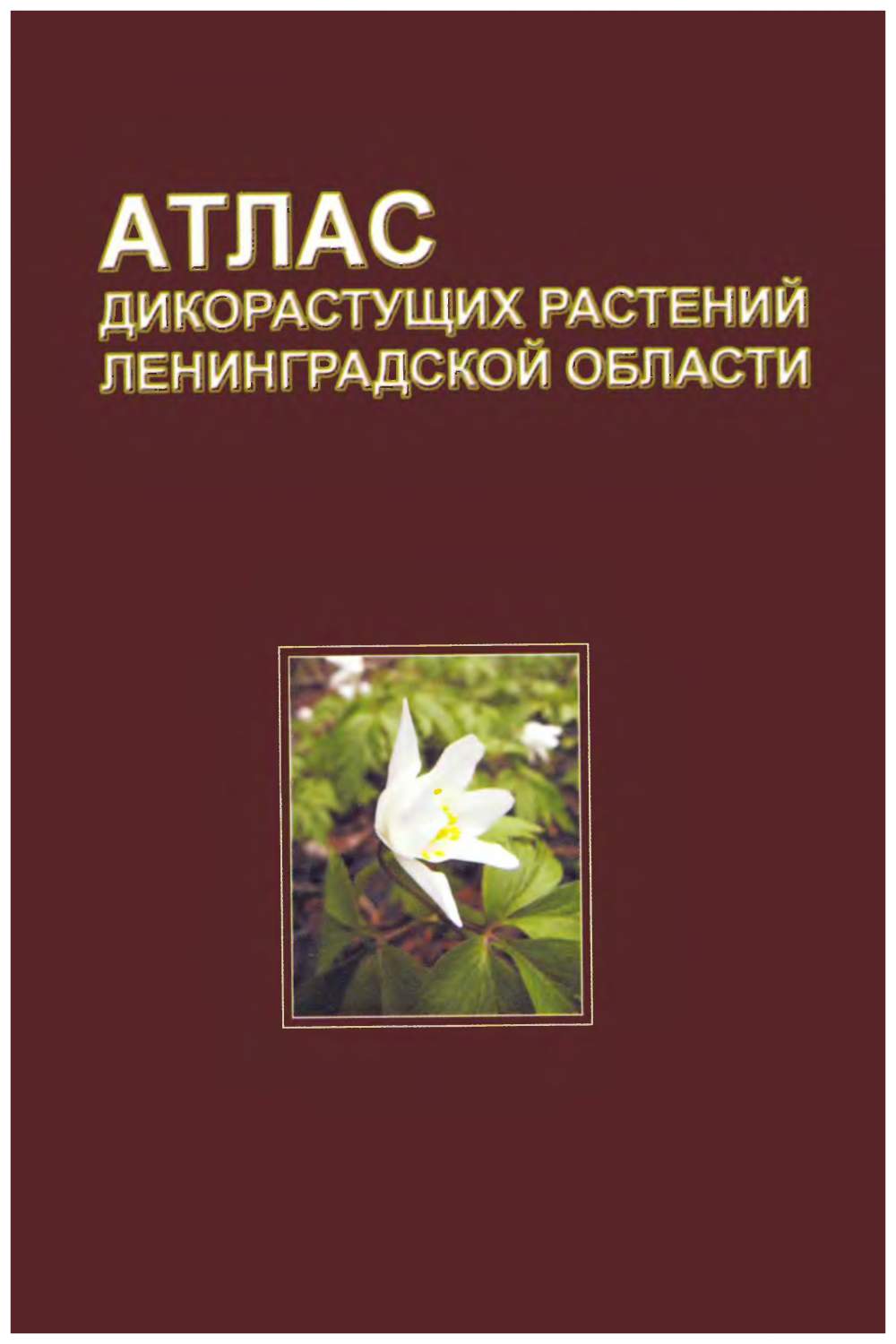 Атлас дикорастущих растений Ленинградской области – купить в Москве, цены в  интернет-магазинах на Мегамаркет