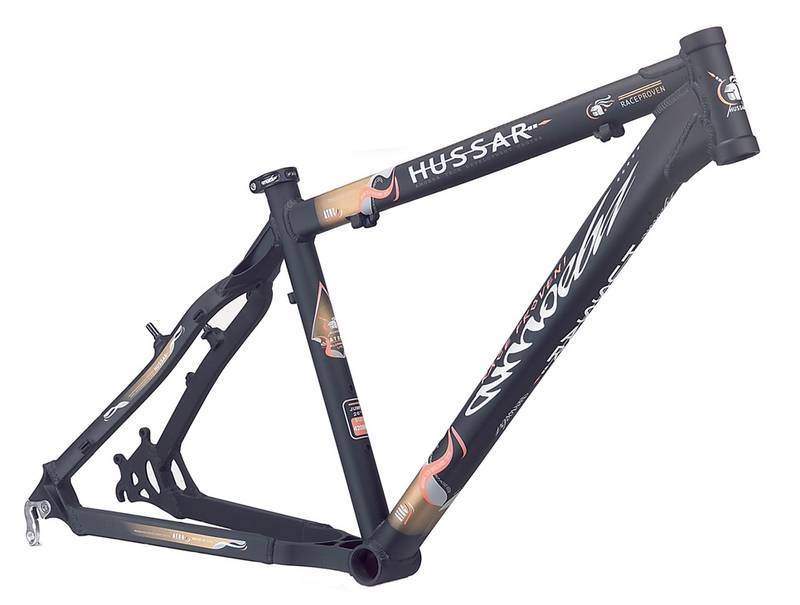 Amoeba clearance mtb frame