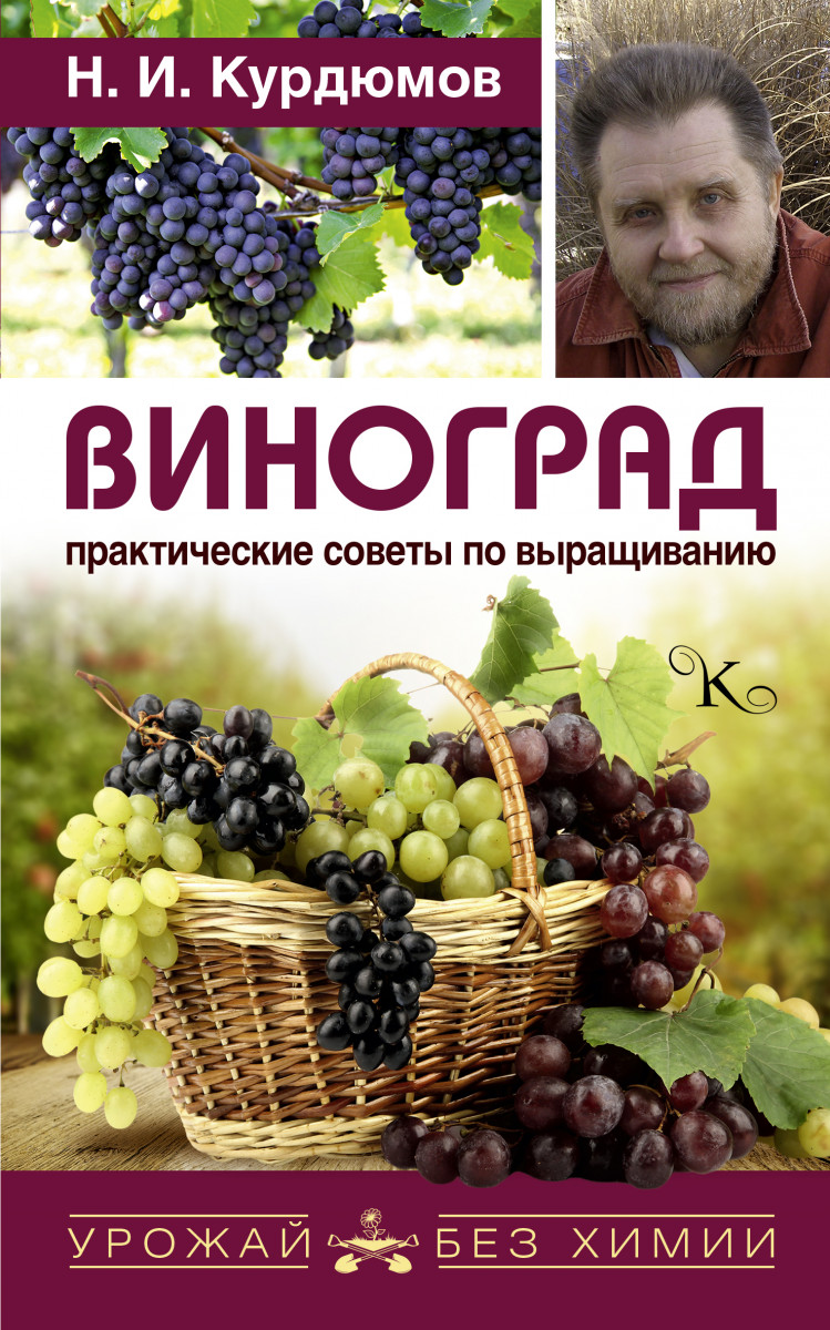 Виноград, Практические советы по выращиванию – купить в Москве, цены в  интернет-магазинах на Мегамаркет