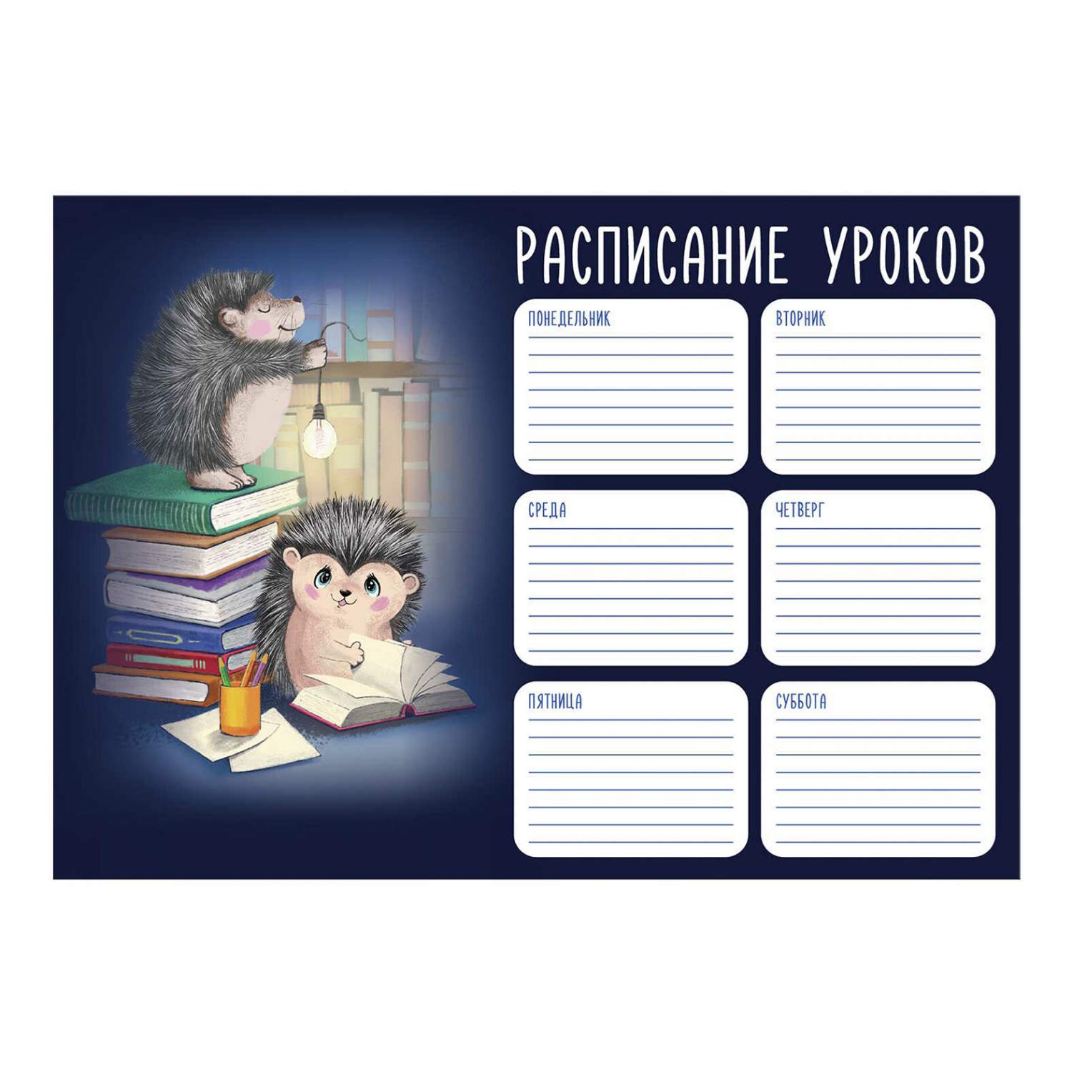 Расписание уроков Феникс+ А4 в ассортименте – купить в Москве, цены в  интернет-магазинах на Мегамаркет