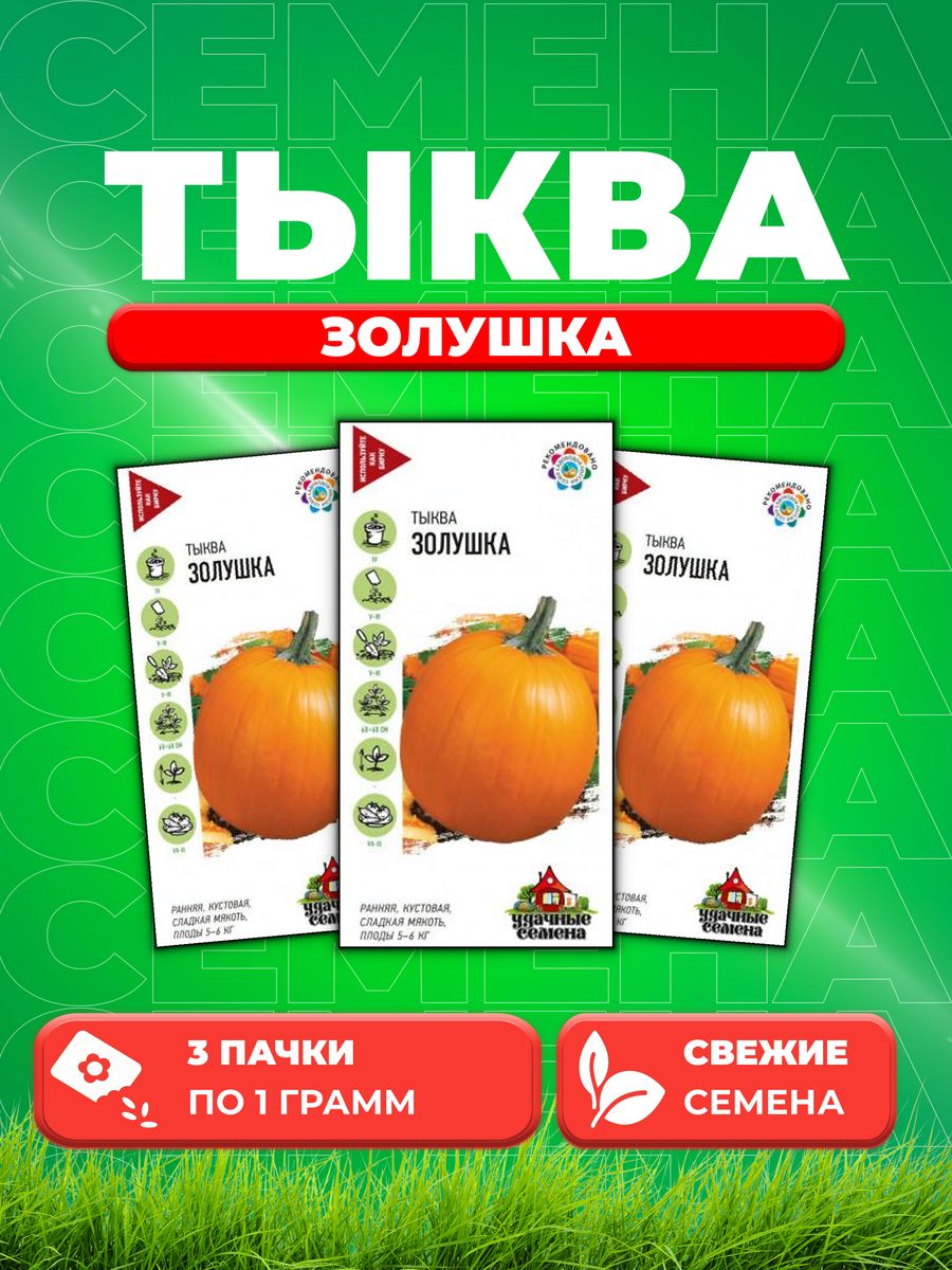 Тыква золушка описание сорта. Тыква золушка описание сорта