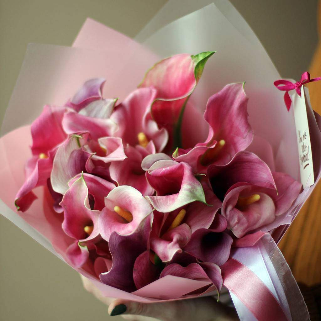 Калла уфа. Калла элиота желтая. Калла уфа. Калла срезка. Калла florex gold.