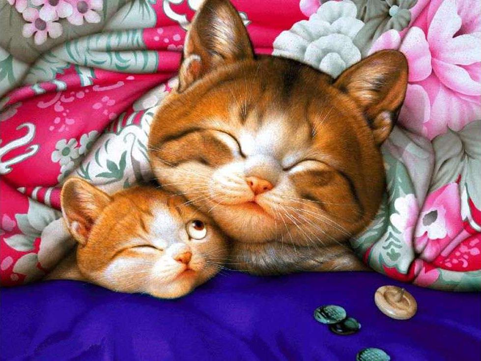 Спокойной ночи котики