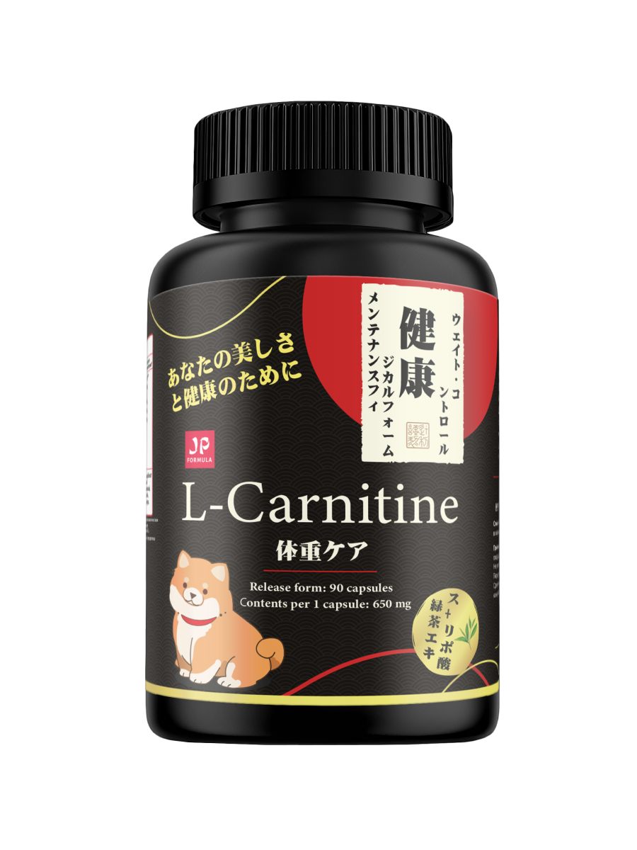 l carnitine japan L-Carnitine Japan formula жиросжигатель для похудения - купить в Москве,  цены на Мегамаркет