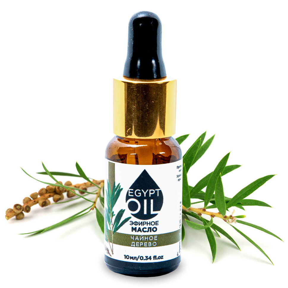 Аромамасло чайного дерева / Tea tree Essential oil (Масло чайного дерева,  50 мл) - купить в egyptoil, цена на Мегамаркет