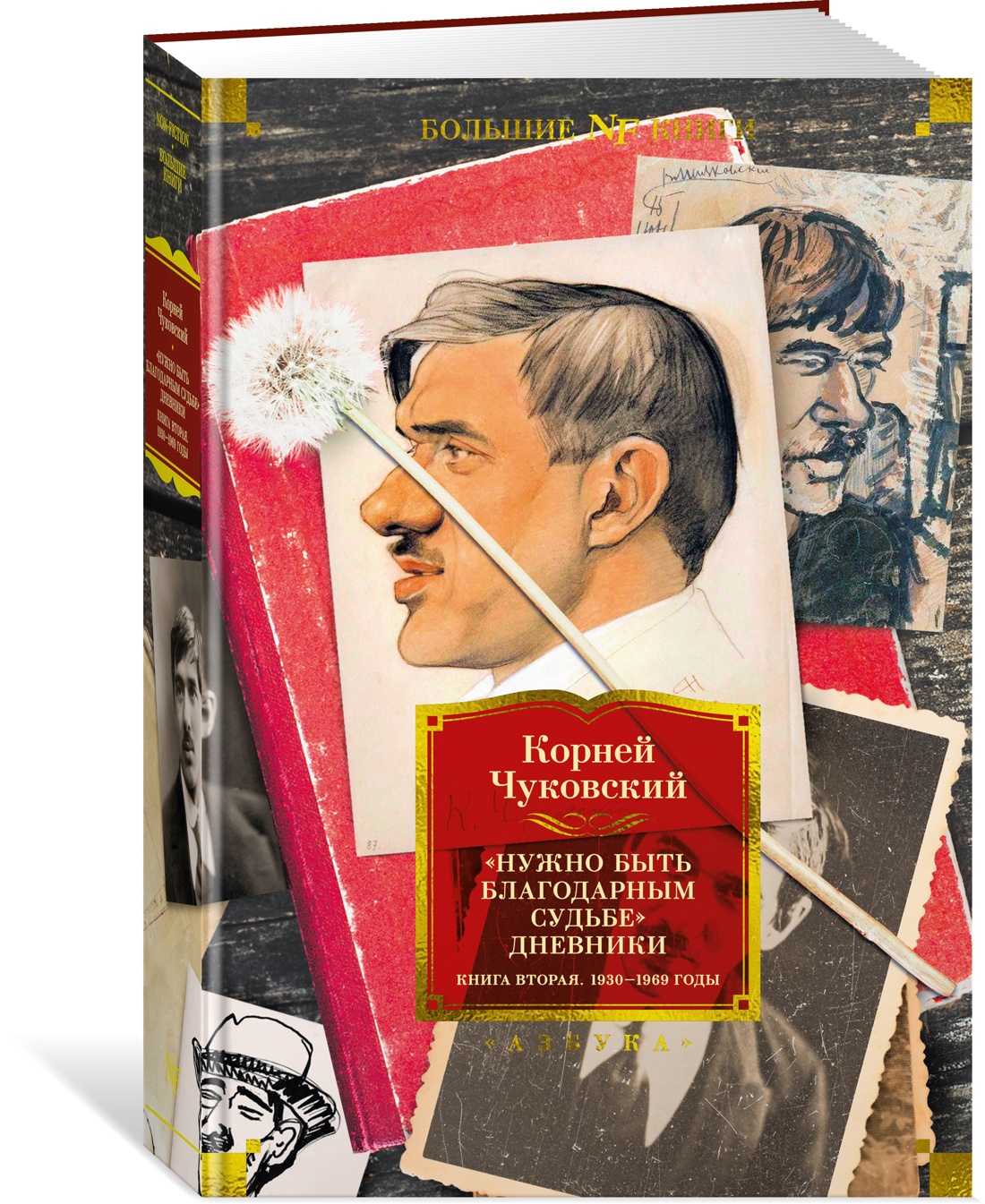 Нужно быть благодарным судьбе. Дневники. Книга вторая. 1930–1969 годы -  купить биографий и мемуаров в интернет-магазинах, цены на Мегамаркет |  978-5-389-22978-5