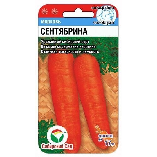 Морковь Сентябрина описание сорта, фото, отзывы