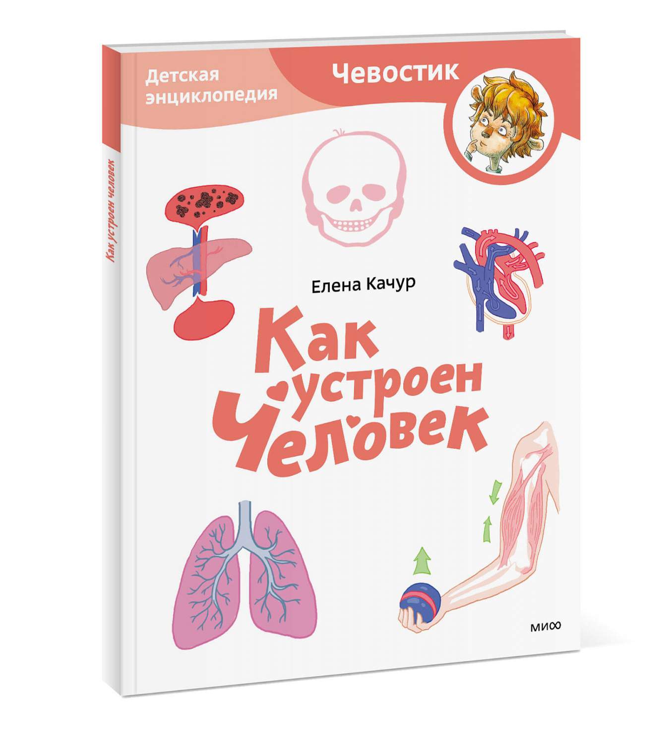 Как устроен человек. Детская энциклопедия (Чевостик) (Paperback) - купить  детской энциклопедии в интернет-магазинах, цены на Мегамаркет |  978-5-00214-233-0