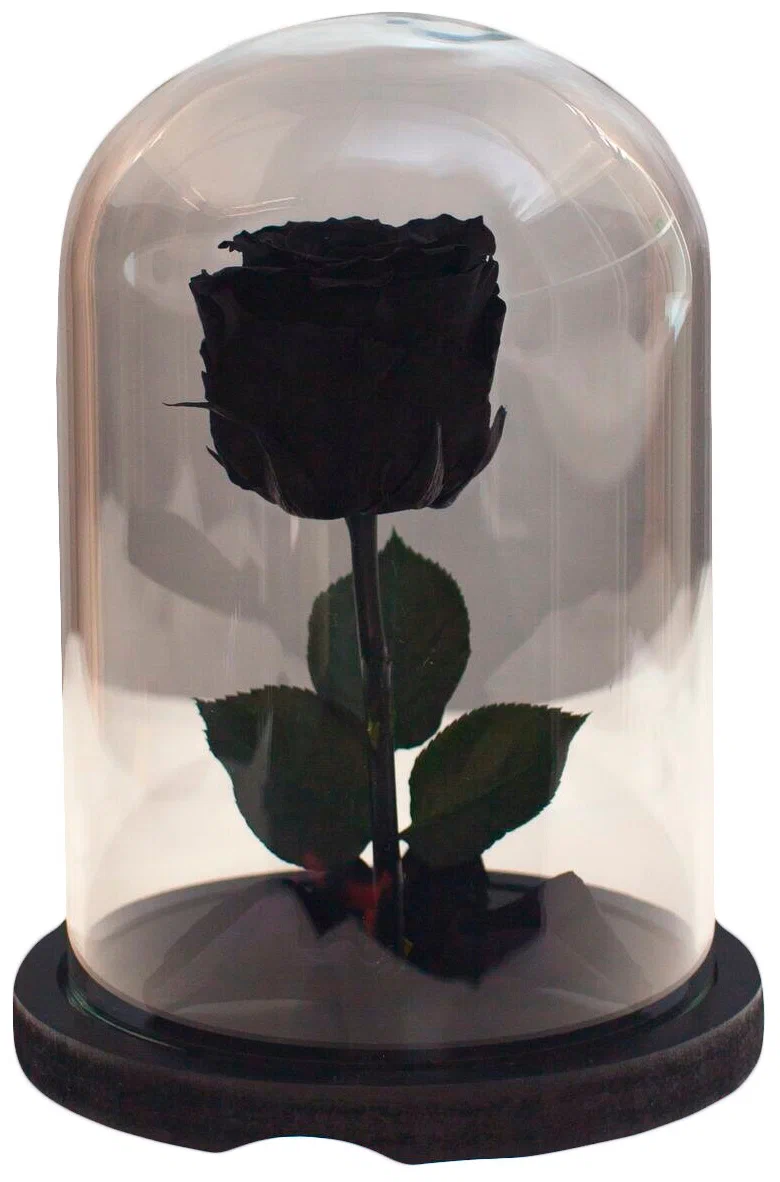Купить Розу В Колбе В Великом Новгороде
