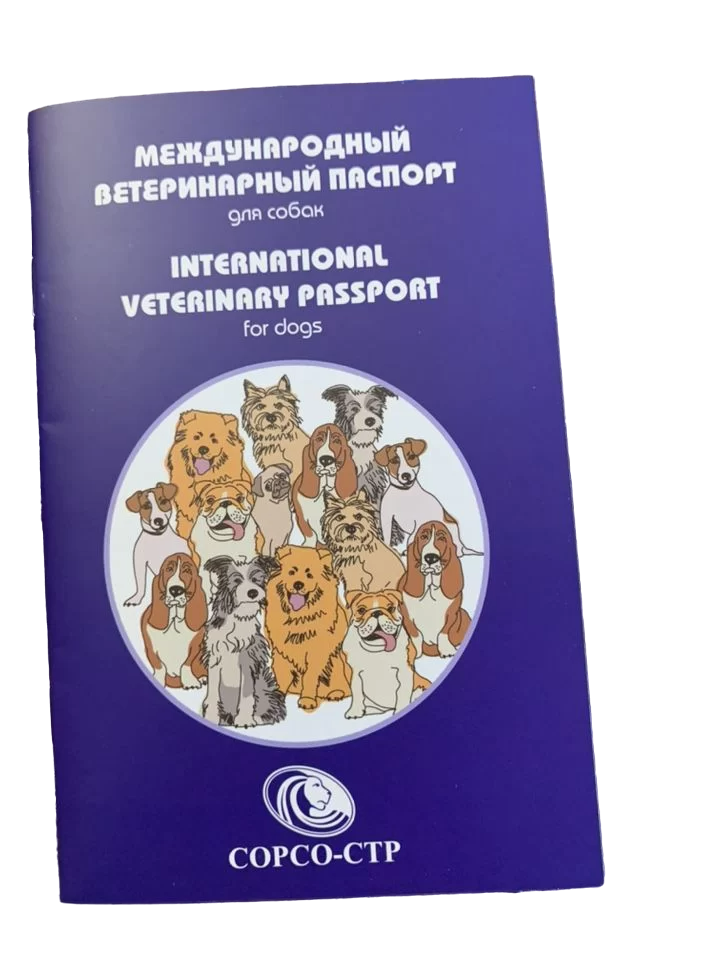 International veterinary hot sale passport