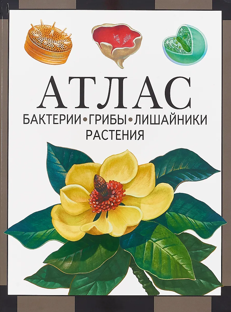 Атласы и контурные карты МЦНМО - купить атласы и контурные карты МЦНМО ...