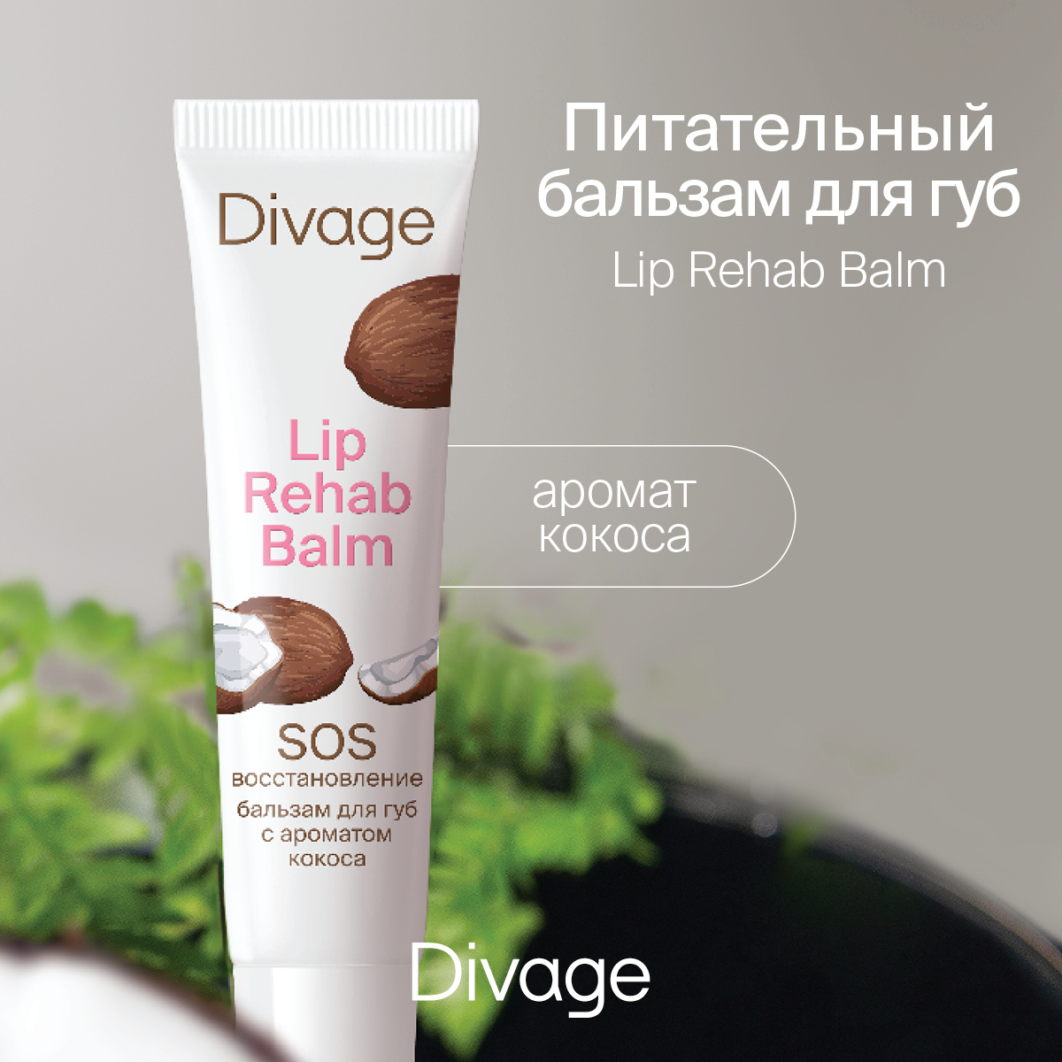 Бальзам для губ Divage lip rehab balm с ароматом кокоса - отзывы  покупателей на Мегамаркет | бальзам для губ 7023512