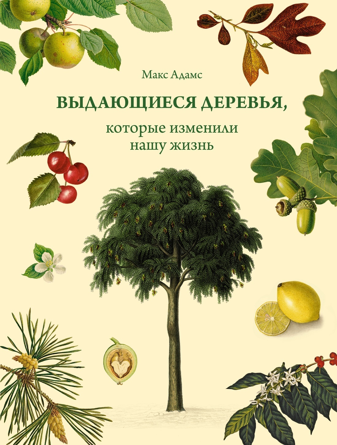 Выдающиеся деревья, которые изменили нашу жизнь - купить биологии в  интернет-магазинах, цены на Мегамаркет |