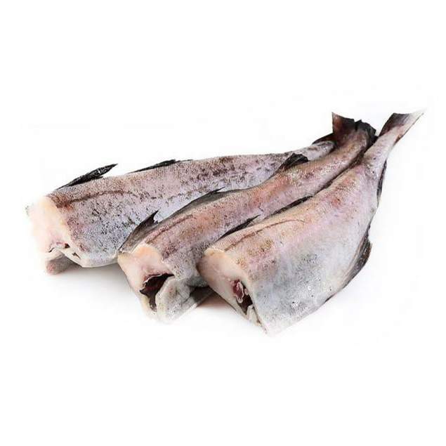 Щука: рыба с костями или нет?