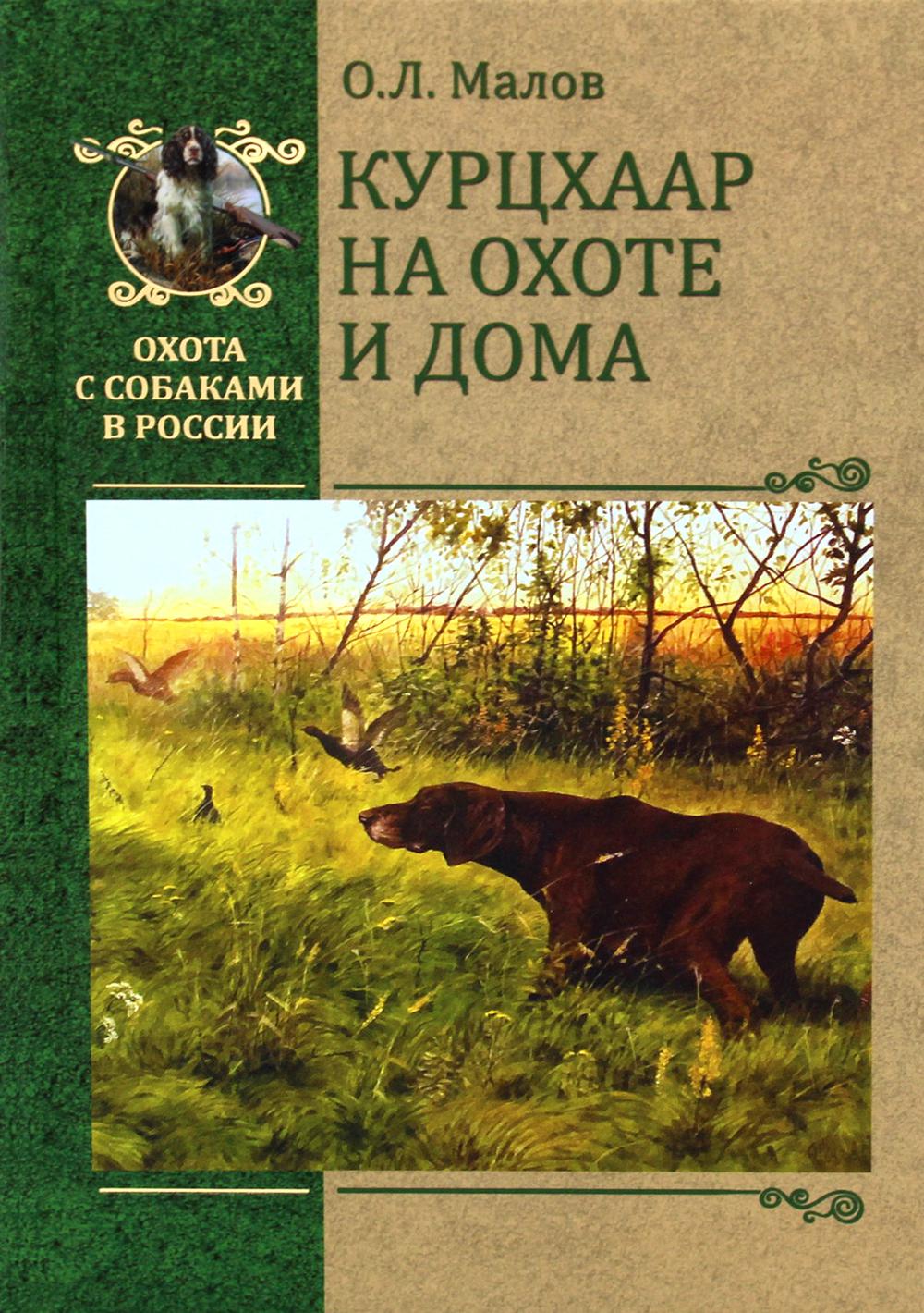 Курцхаар на охоте и дома – купить в Москве, цены в интернет-магазинах на  Мегамаркет