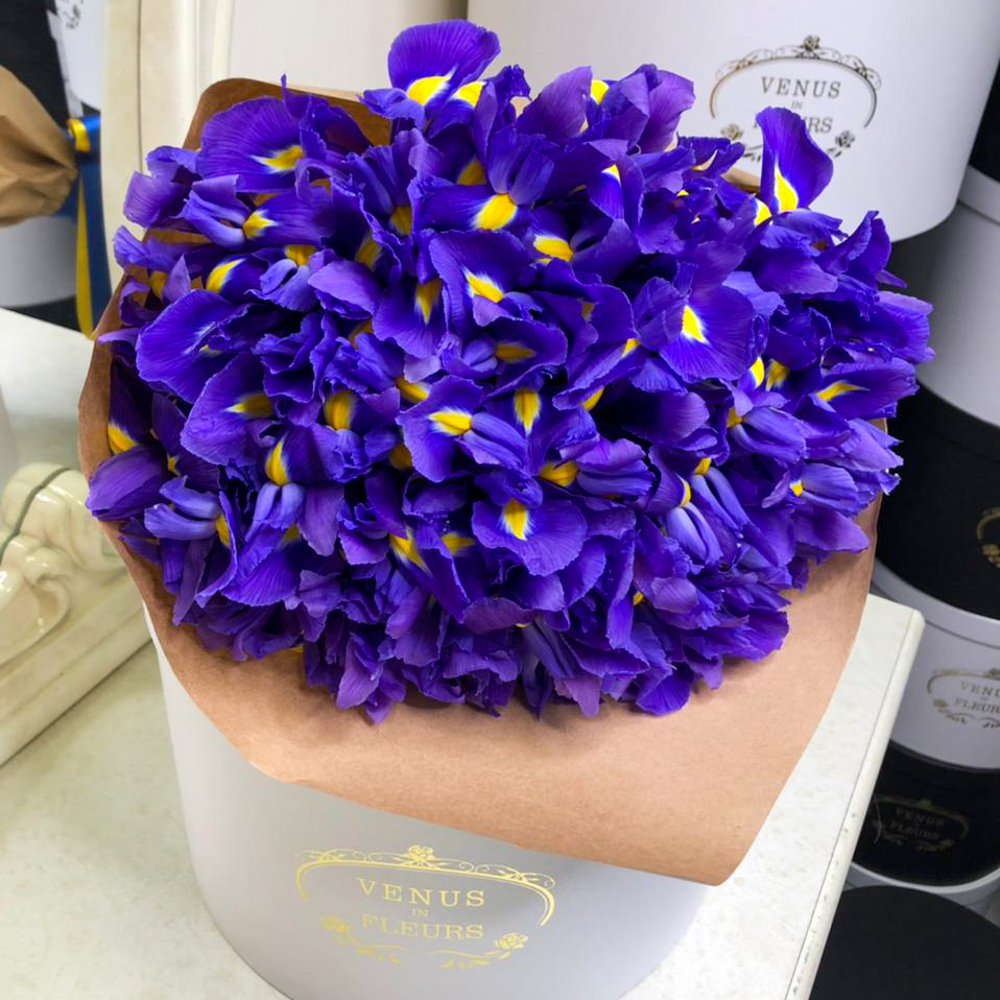 Купить монобукеты Venus in Fleurs 51 синий ирис в букете 808112, цены на  Мегамаркет | Артикул: 600008839701