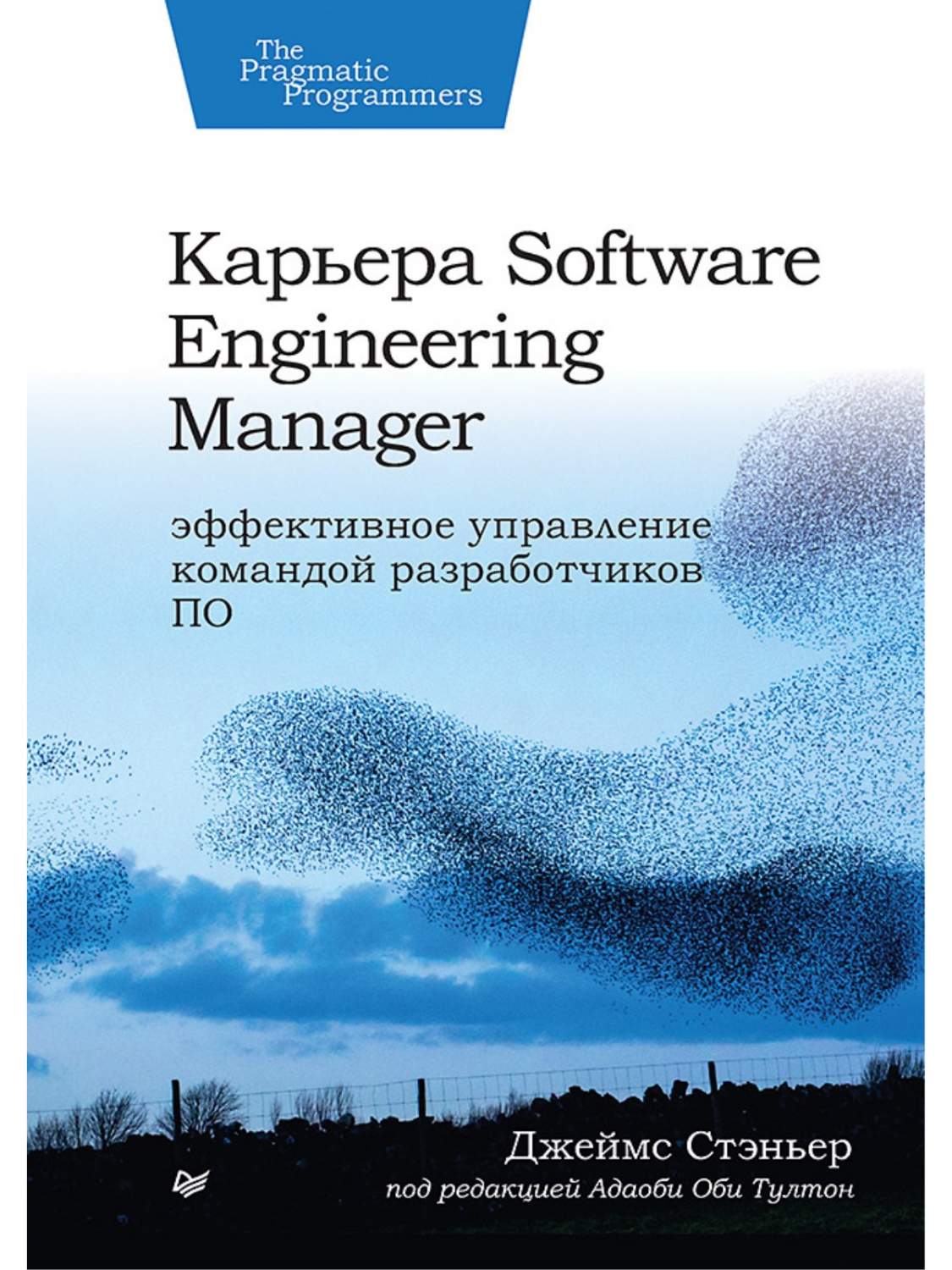 Карьера Software Engineering Manager. Управление командой разработчиков ПО  - купить в Юмаркет, цена на Мегамаркет