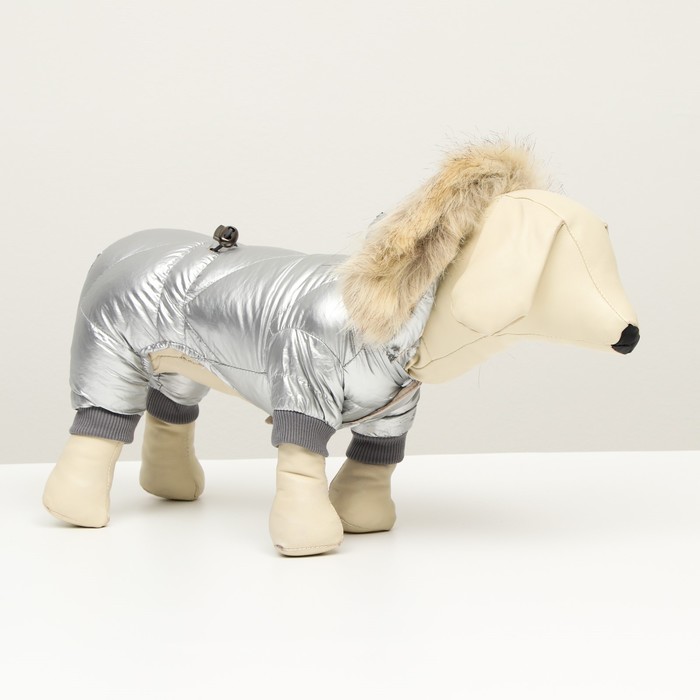 Купить комбинезон для собак Комбинезон Мальчик с утяжкой, размер 10,серебряный, цены в Москве на Мегамаркет