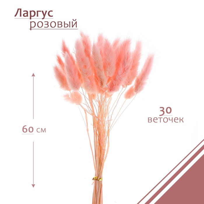 Сухоцветы - купить сухоцветы, цены на Мегамаркет
