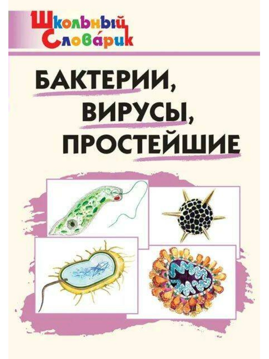 Словарь ВАКО Школьный. Бактерии, вирусы, простейшие. 2022 год, Е. С.  Петрушина - купить справочники и сборники задач в интернет-магазинах, цены  на Мегамаркет |